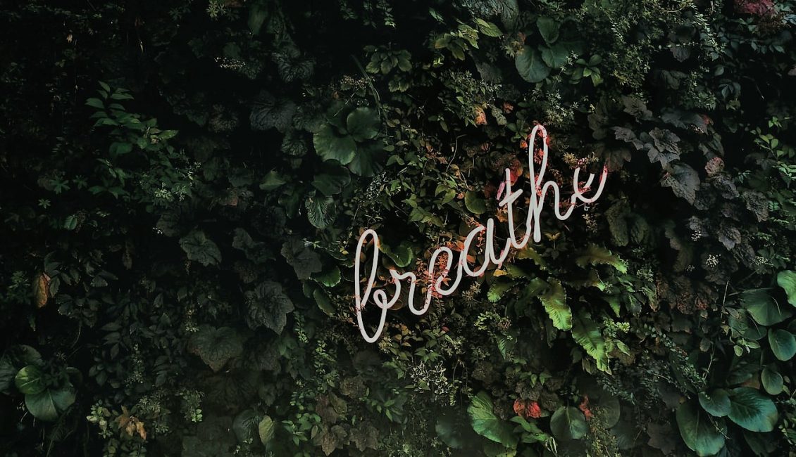 Breathe, Time to Think courses like Press Press encourage you to advance your deep skills, like breathing and listening to reenergise the way you work.