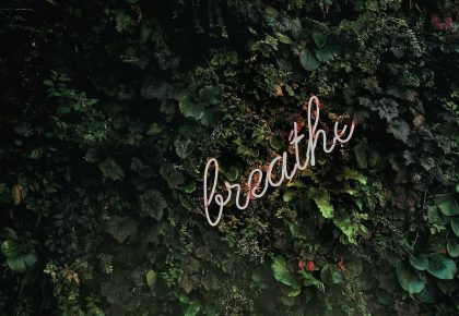 Breathe, Time to Think courses like Press Press encourage you to advance your deep skills, like breathing and listening to reenergise the way you work.