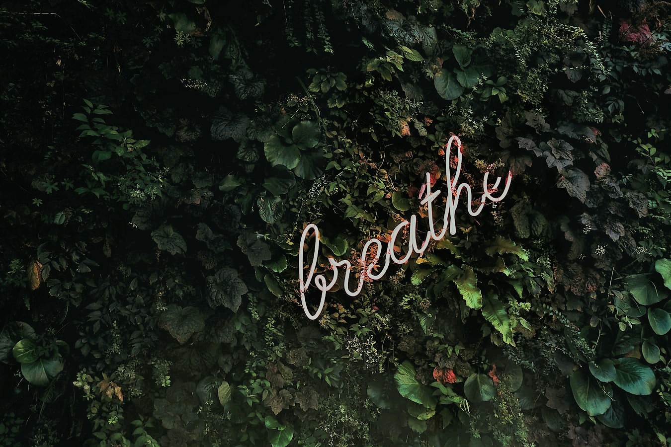 Breathe, Time to Think courses like Press Press encourage you to advance your deep skills, like breathing and listening to reenergise the way you work.
