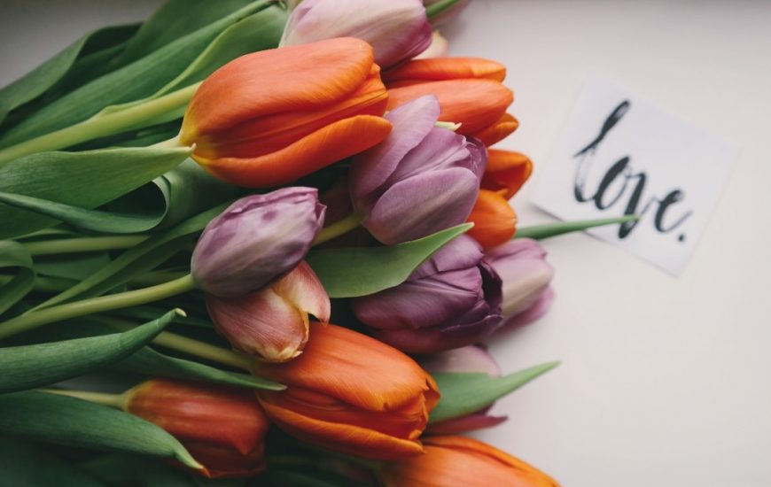 love script and tulips